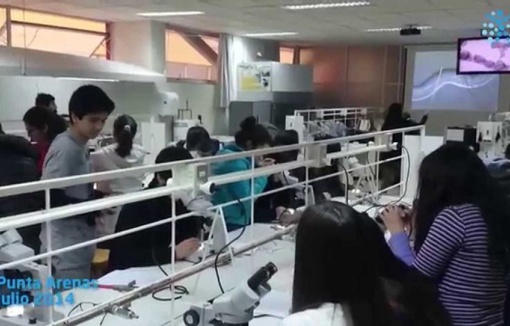 Mira el video del taller sobre biología y fisiología del cerebro