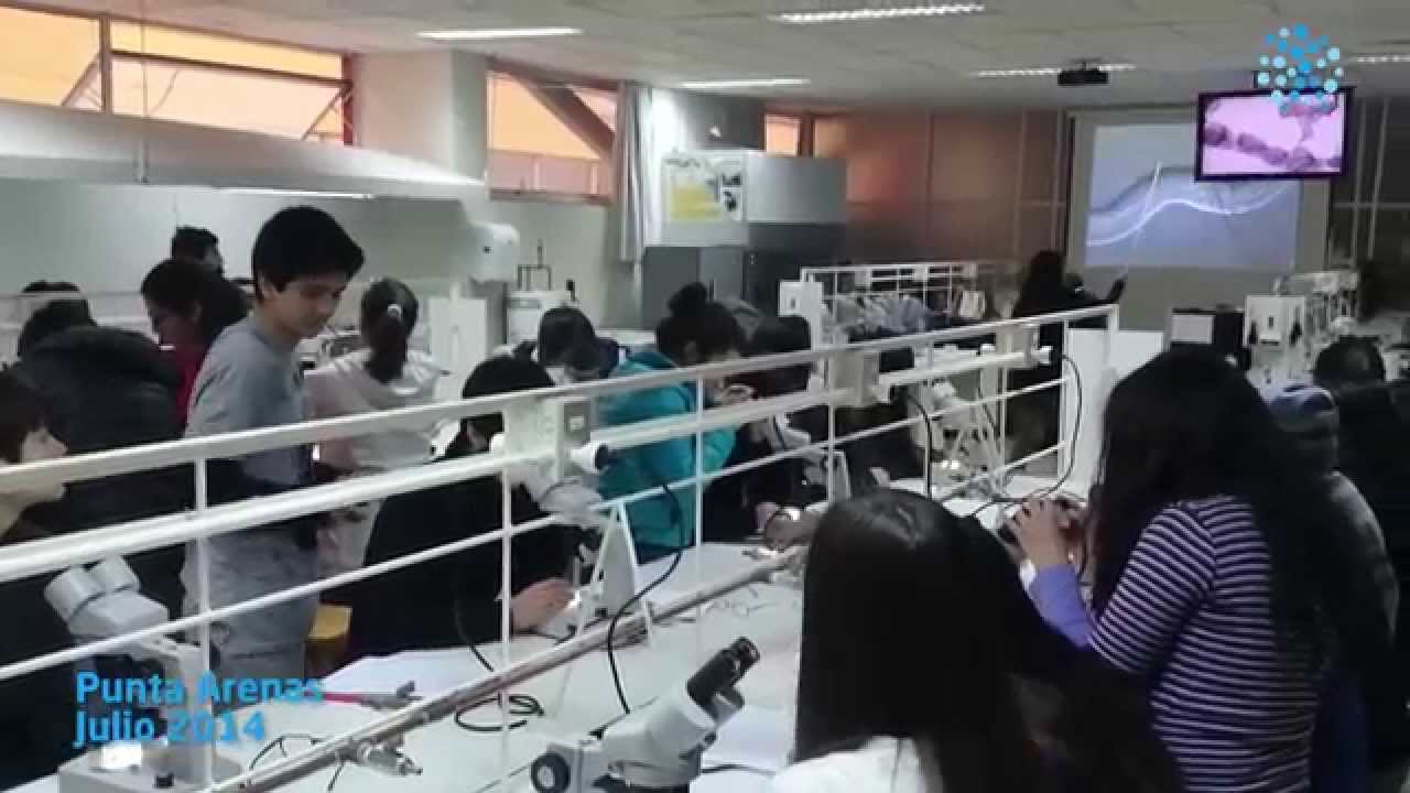 Mira el video del taller sobre biología y fisiología del cerebro