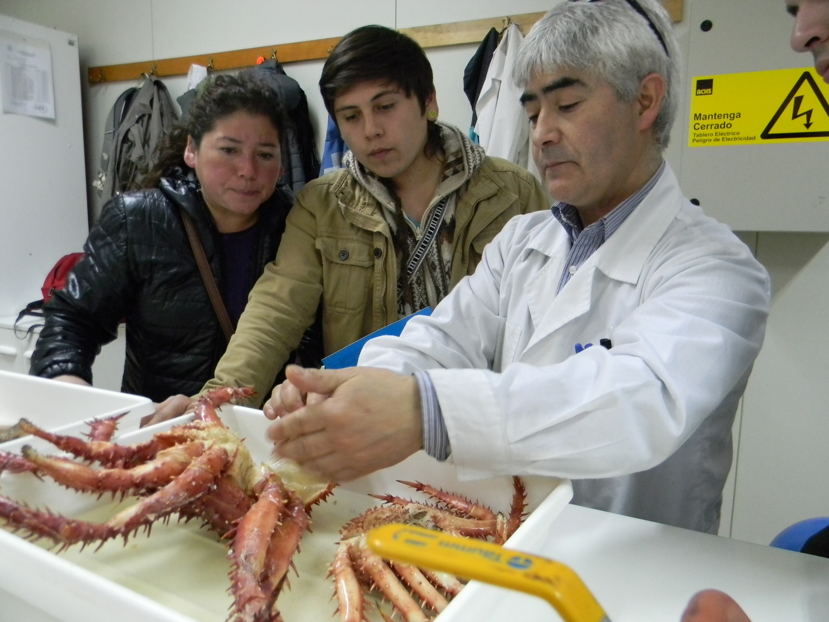 Inscríbete en los Laboratorios Abiertos