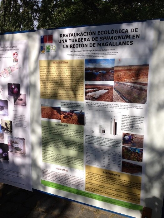 Presentan investigación sobre turberas en Congreso de Sociedad Agronómica de Chile