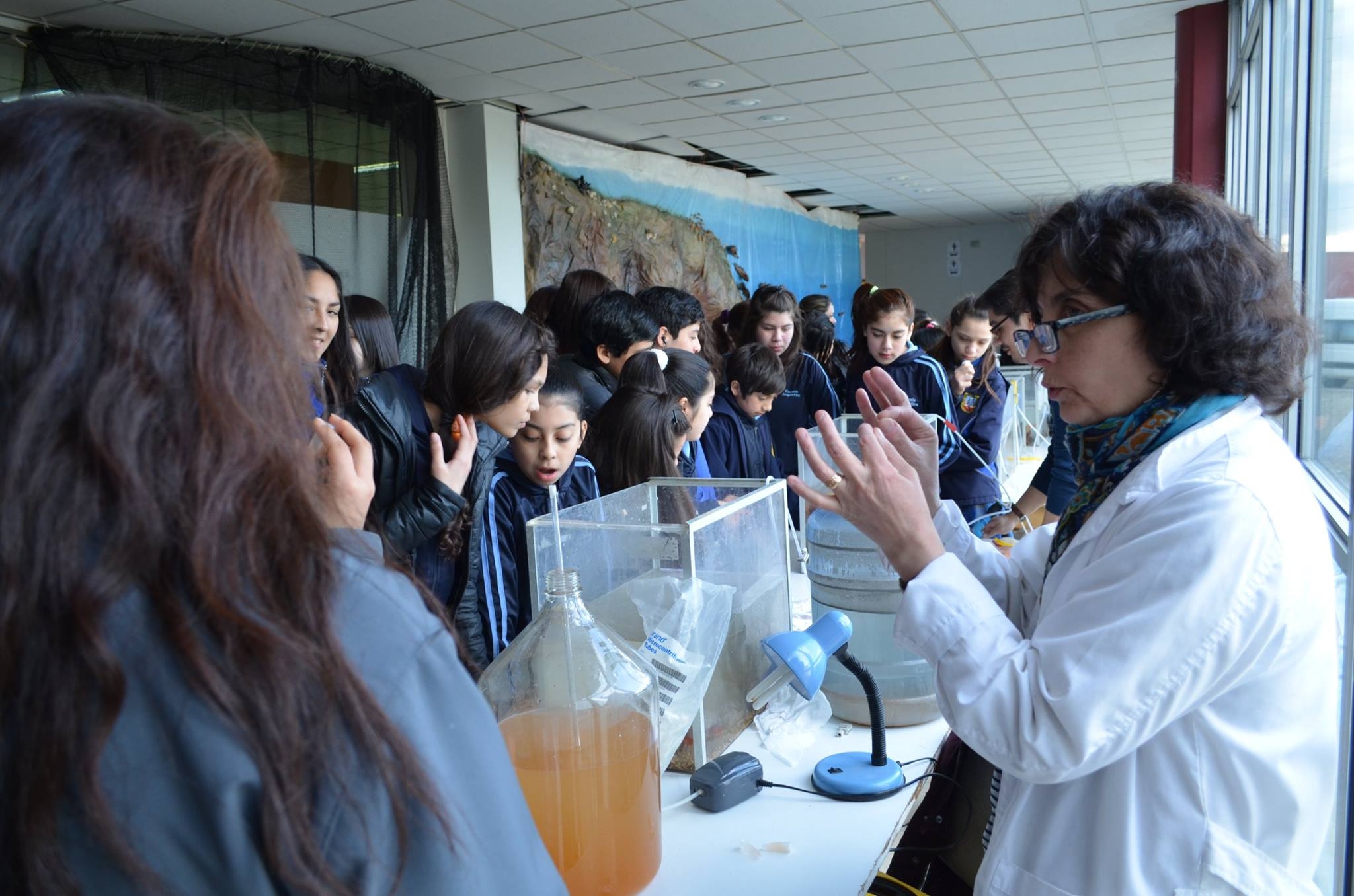 Más de 2000 estudiantes participan en los Laboratorios Abiertos de la SNCyT