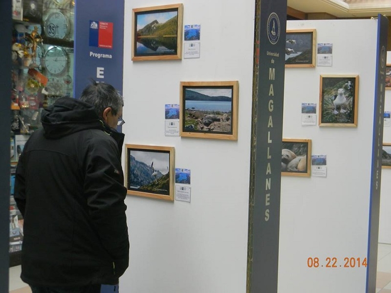Exposición en Zona Franca sobre Seno Almirantazgo