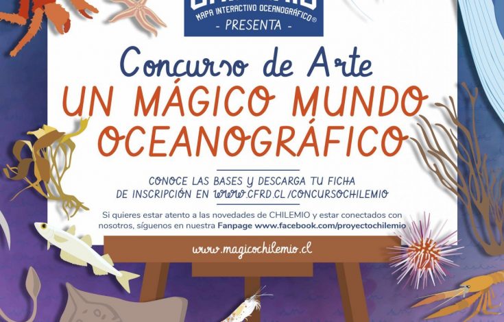 Afiche Magallanes