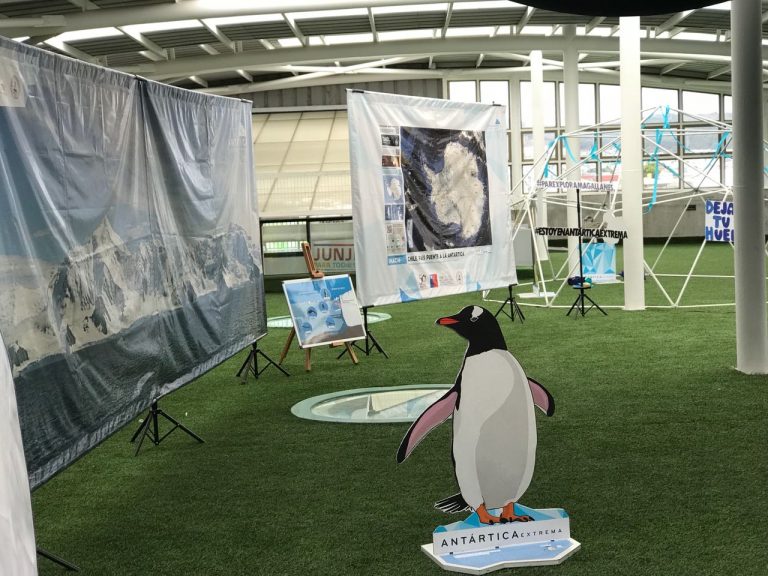 Exposición itinerante Antártica Extrema invita a la comunidad magallánica a conocer las maravillas del Continente Blanco