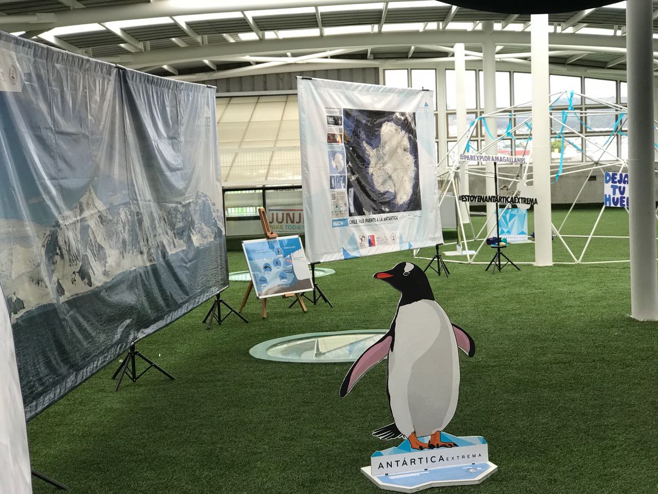 Exposición itinerante Antártica Extrema invita a la comunidad magallánica a conocer las maravillas del Continente Blanco