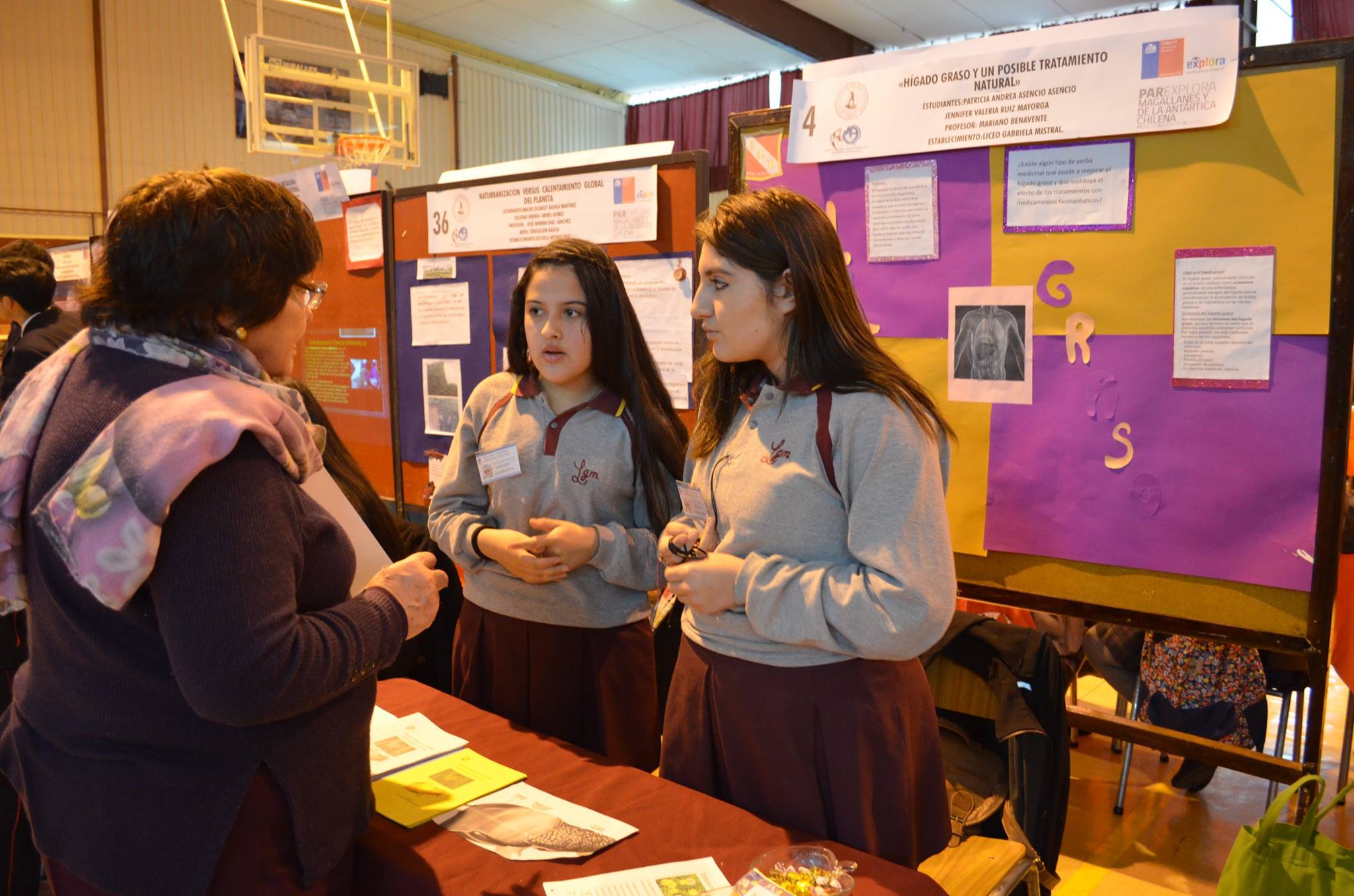 Se abre convocatoria para la XVIII Feria Científica Escolar del Liceo María Mazzarello de Puerto Natales