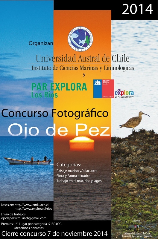 Convocan a concurso fotográfico “Ojo de pez”