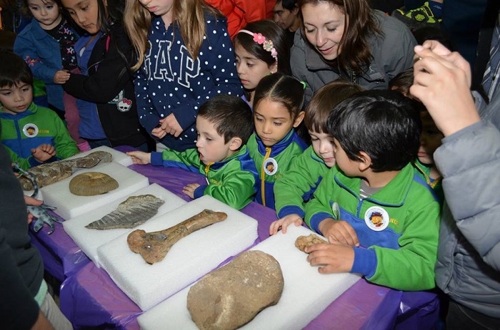 Pequeños científicos organizaron una muestra