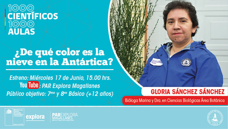 Charla ¿De qué color es la nieve?