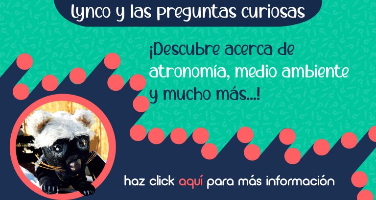 “Lynco y las preguntas curiosas”
