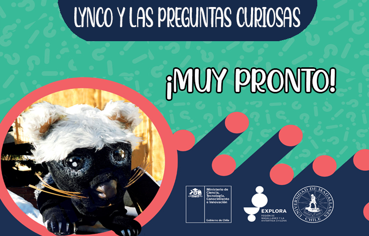 ¡Muy pronto! Lynco y las preguntas curiosas