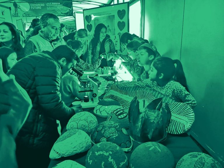 Actividad Regional: Campamentos Científicos