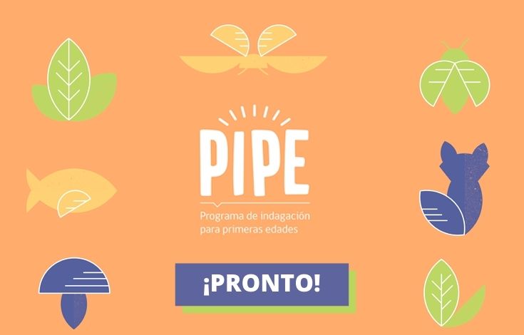 Muy pronto comenzaremos con la convocatoria para PIPE