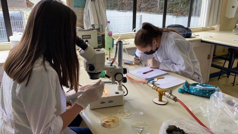 Mujeres y niñas en la ciencia, el desafío de continuar visibilizando su aporte al conocimiento