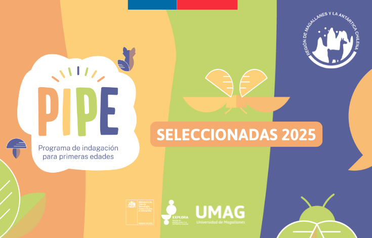 PIPE 2025: 31 Educadoras y Técnicos en Educación Parvularia Impulsarán la Ciencia y Tecnología en la Primera Infancia en Magallanes