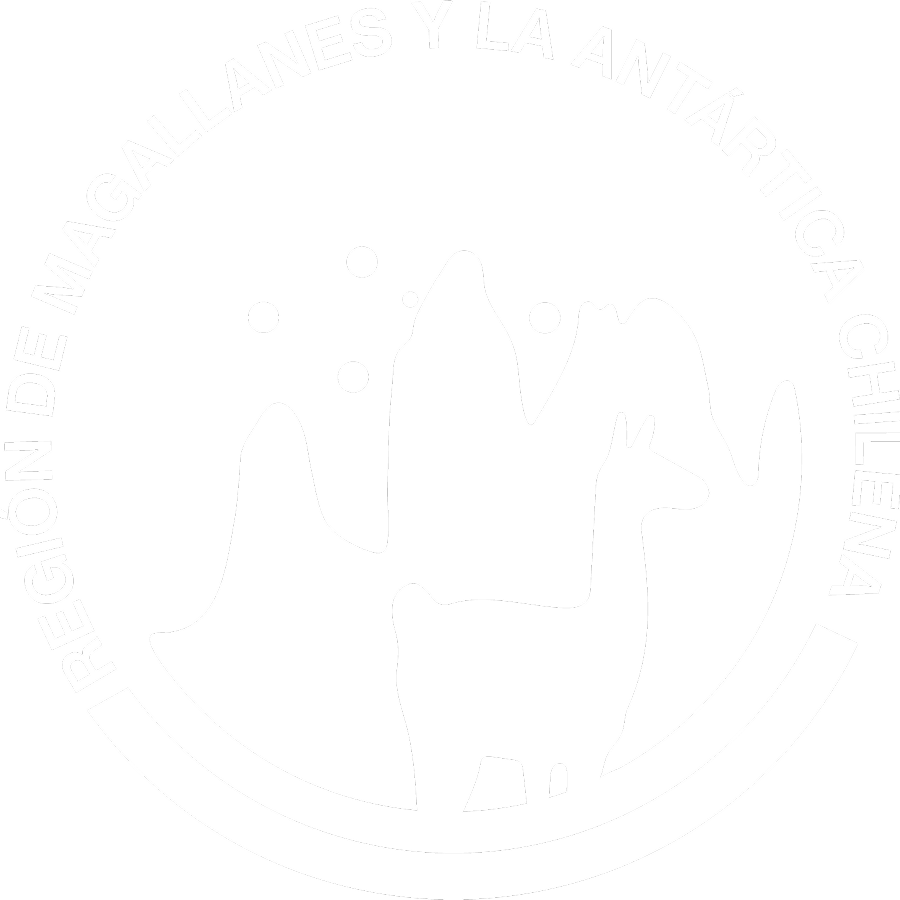 Logo Magallanes