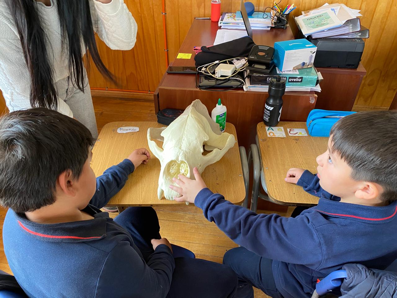 Estudiantes de la Escuela Cerro Guido aprendieron a través de réplicas en el taller “Memorias de piedra y hueso: Magallanes prehistórico” del PAR Explora Magallanes