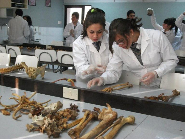UTalca sigue liderando el Proyecto Explora en el Maule