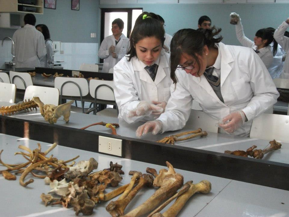 UTalca sigue liderando el Proyecto Explora en el Maule