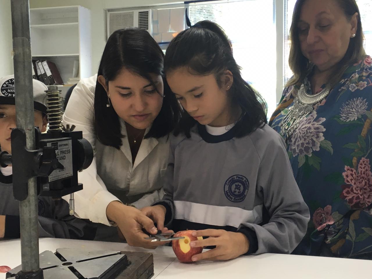 Escolares de San Clemente fueron investigadores por un día en la UTALCA
