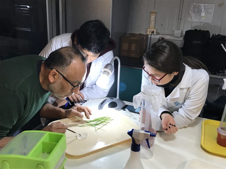 Explora Maule abre convocatoria para presentar trabajos en Congreso Regional de Ciencia Escolar