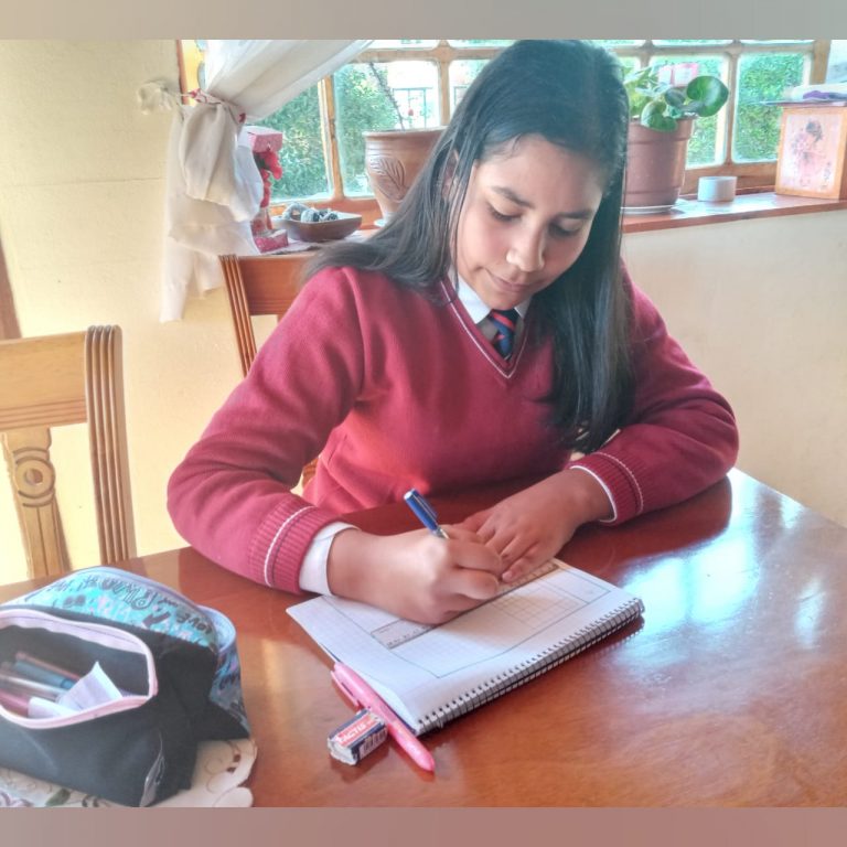Escolares aprenden a investigar sobre matemáticas