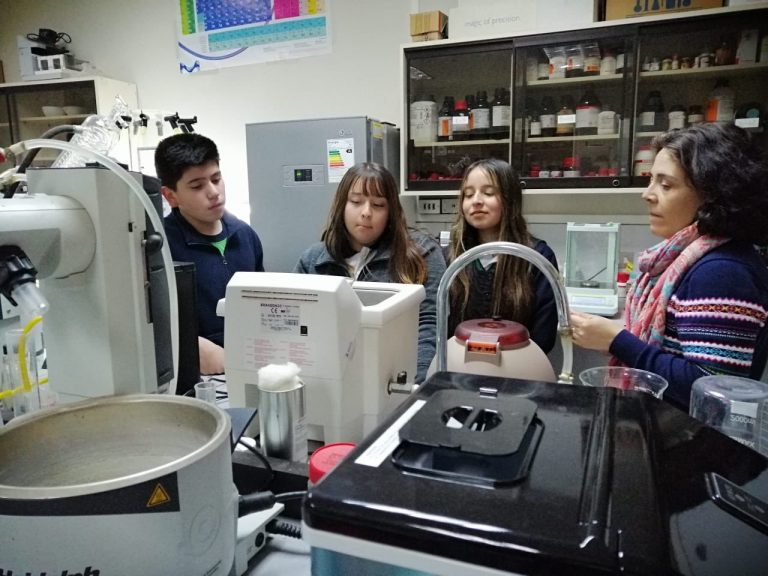 Explora Maule invita a investigadores a sumarse a la Academia Maule Ciencia