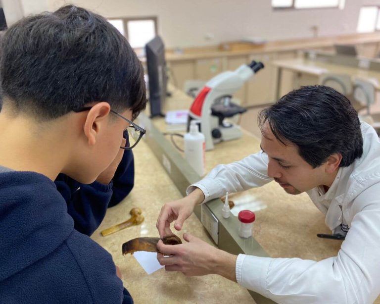 Universidad de Talca realiza talleres científicos para niñas y niños en verano