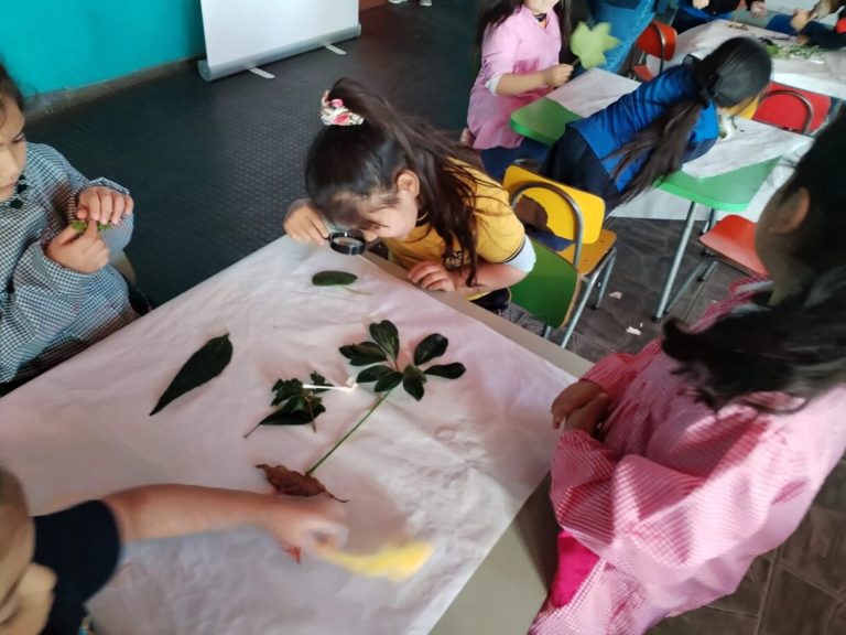 Explora Maule abre inscripciones a curso gratuito de ciencias para educadoras de párvulos