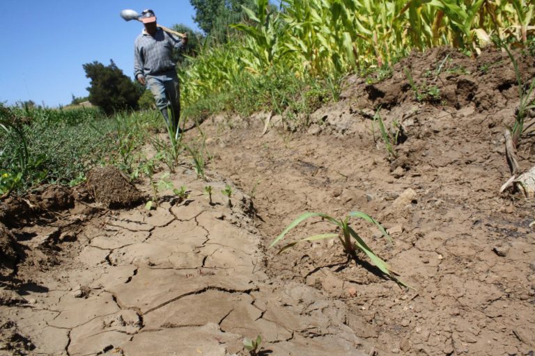 Investigador de la UdeC advierte el impacto del COVID-19 en la actual crisis hídrica