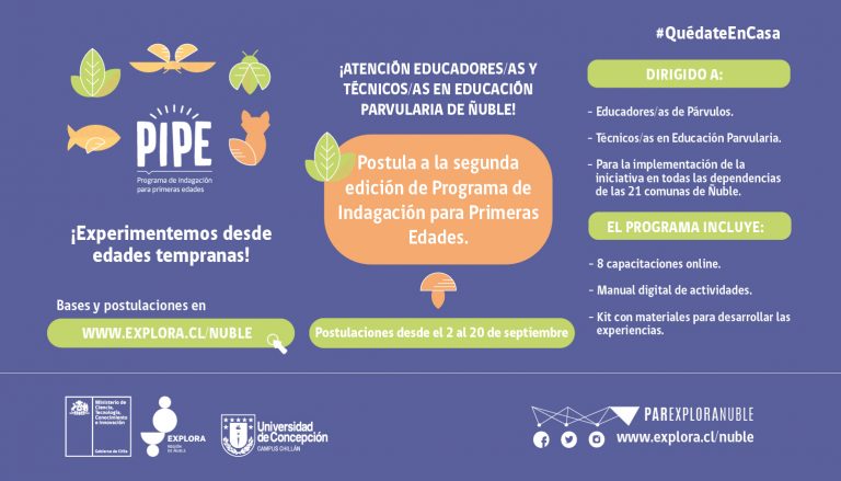 Inicia periodo de postulación de la segunda versión del Programa de Indagación para Primeras Edades (PIPE)