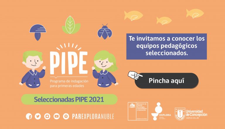 Te invitamos a conocer los equipos pedagógicos seleccionados de PIPE 2021