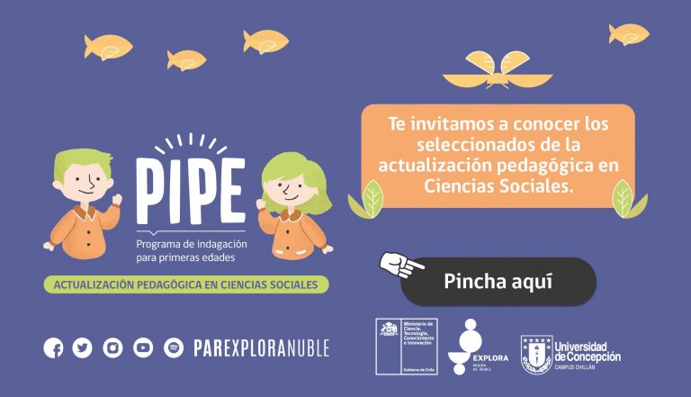 Seleccionadas de las jornadas de actualización PIPE