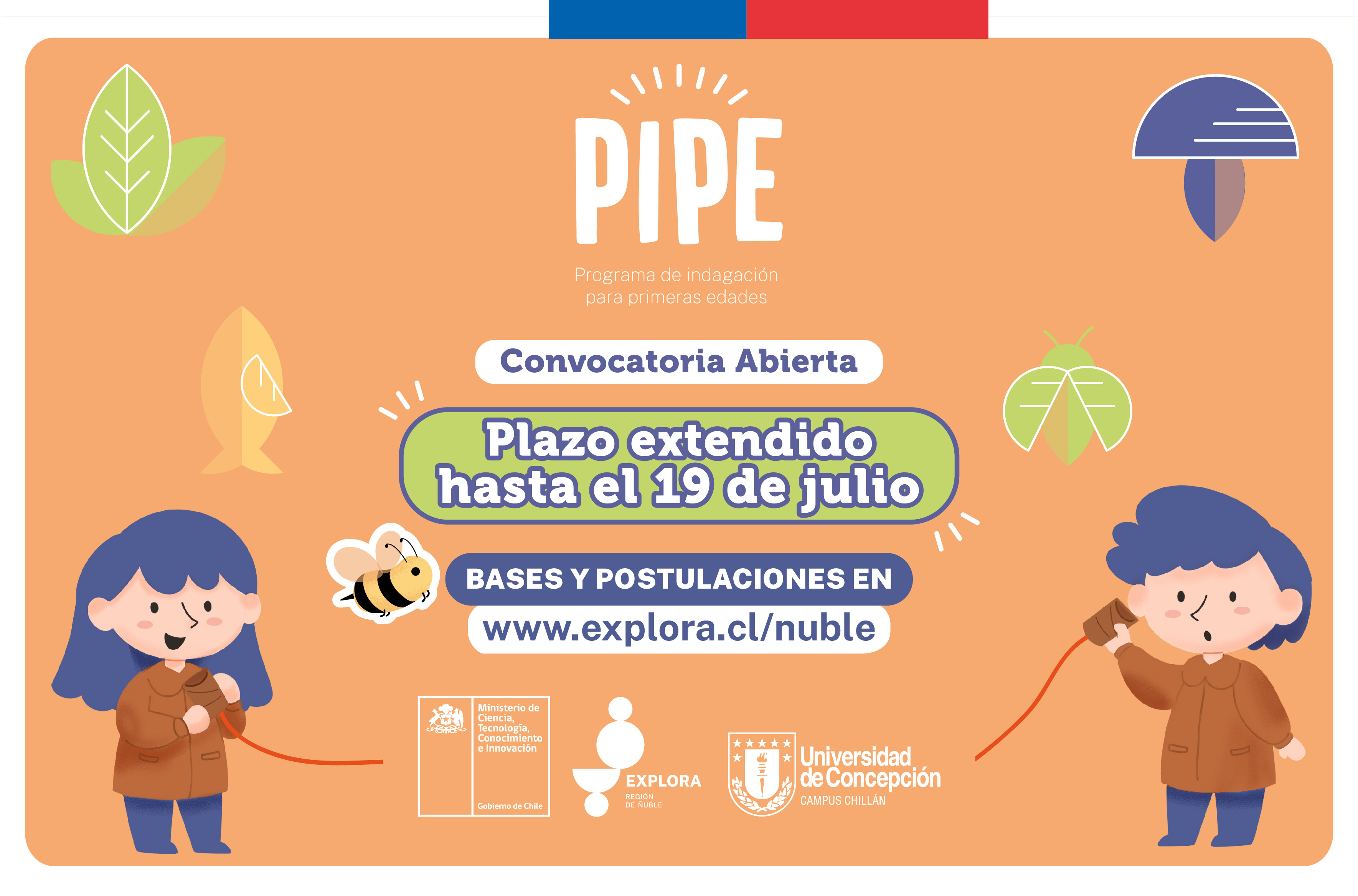 PLAZO EXTENDIDO Convocatoria y Bases en Ñuble Programa de Indagación para Primeras Edades  2023-2024
