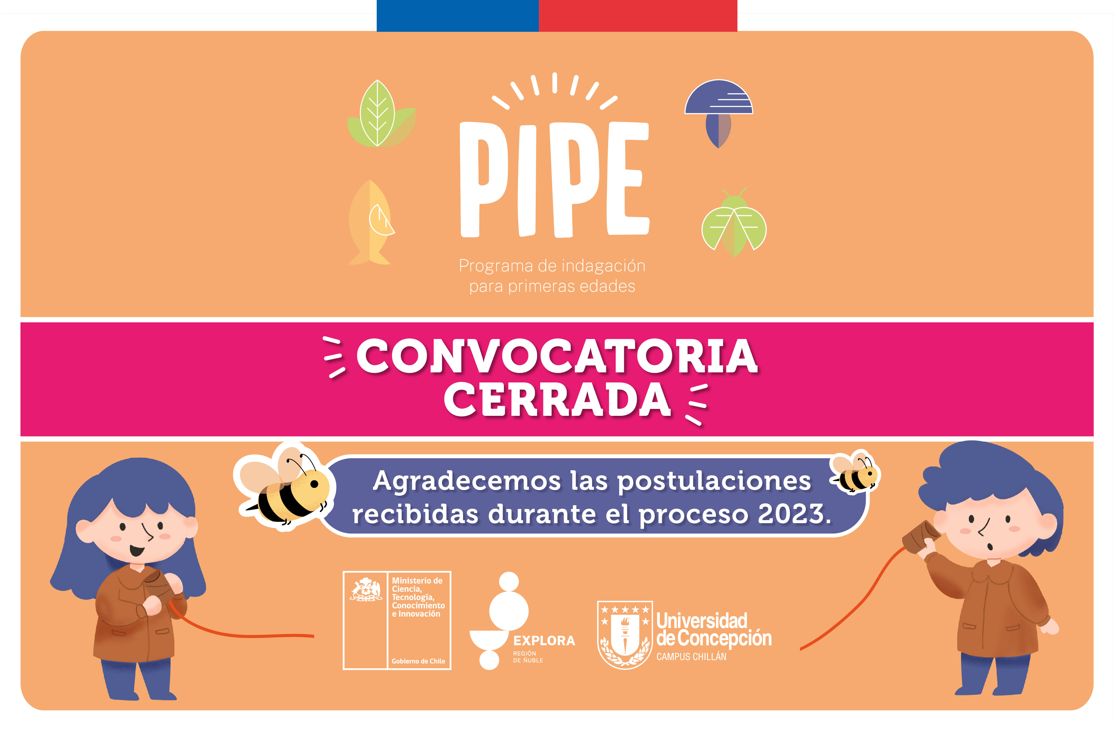 Exitoso cierre de convocatoria de PIPE 2023