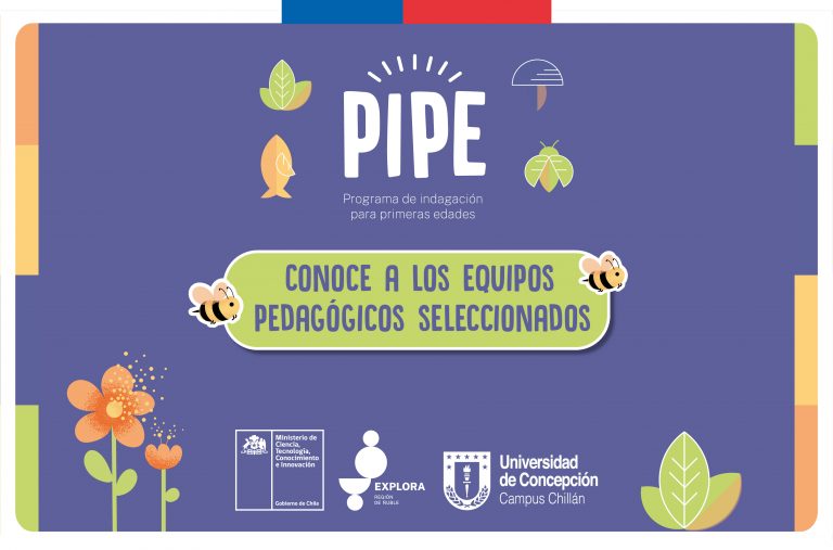 Resultados de la convocatoria PIPE 2023 PAR Explora Ñuble