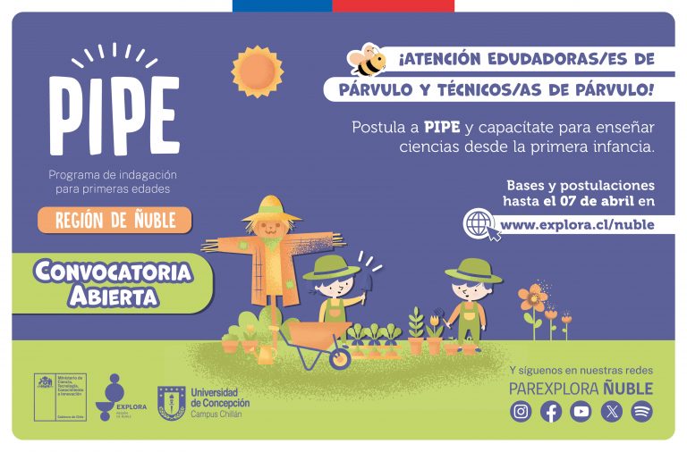 Convocatoria abierta para PIPE 2024 Ñuble