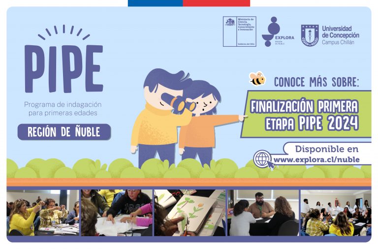 Capacitación PIPE 2024 culmina con gran participación de educadoras de párvulo