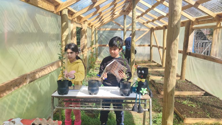 Escuela Rural “Nido de Golondrinas” representará a Ñuble en Congreso Nacional Explora