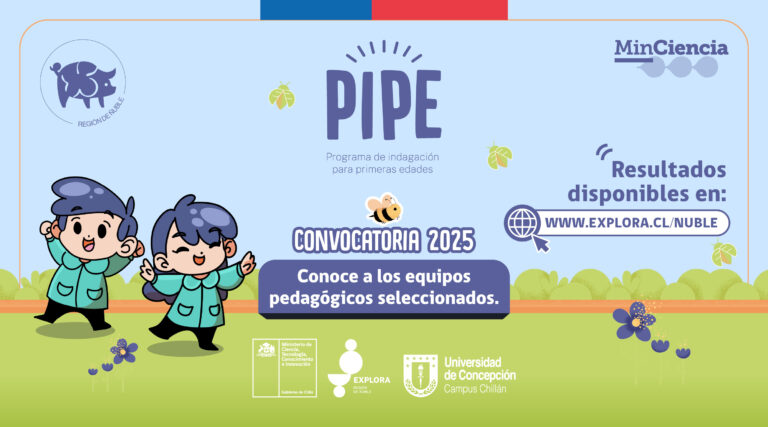Resultados de la convocatoria PIPE 2025