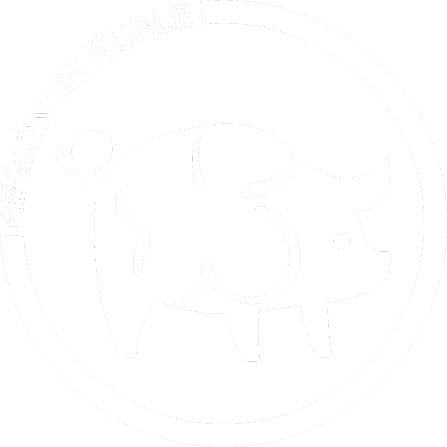 Logo Ñuble