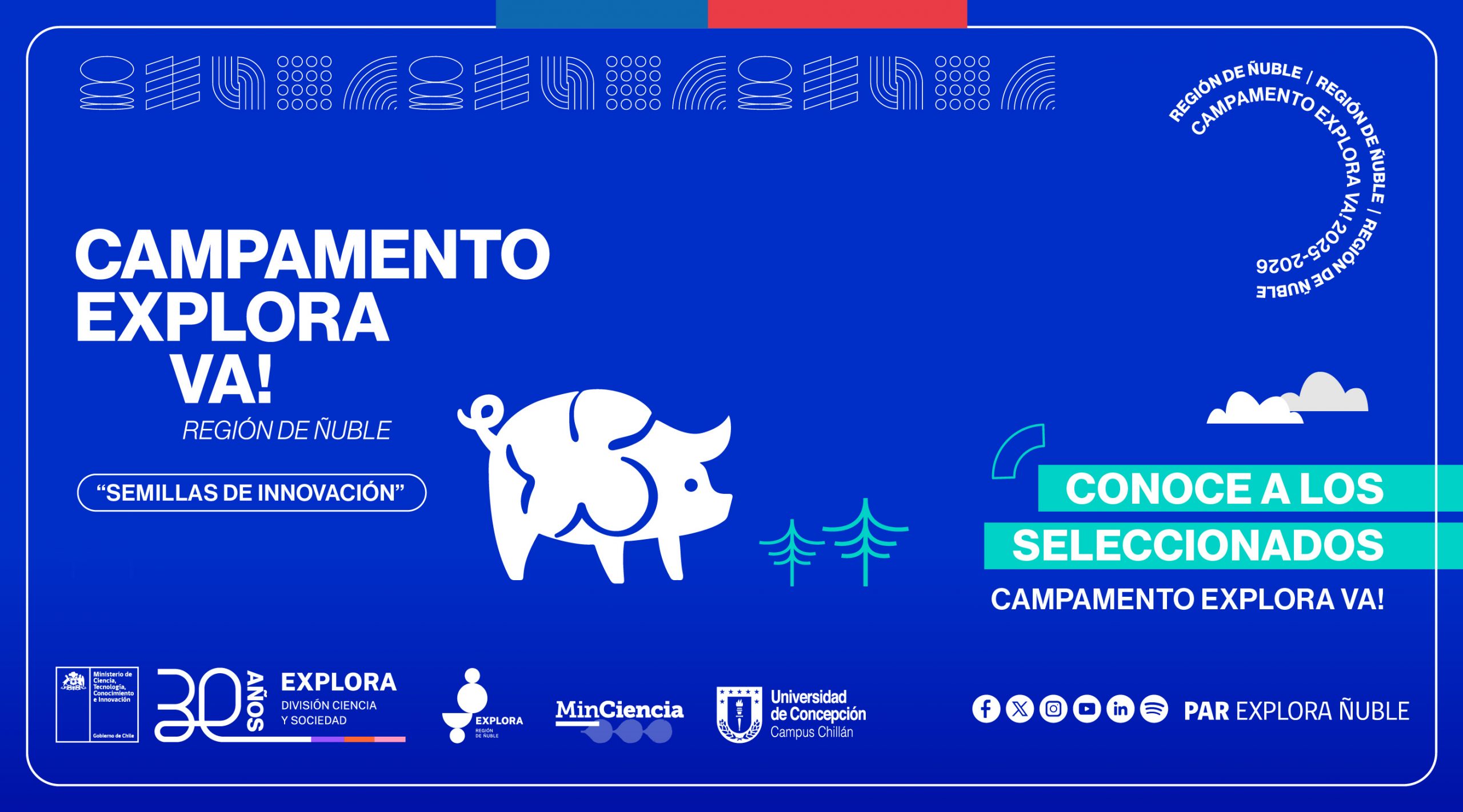 Docentes seleccionados para el Campamento Explora Va! Ñuble 2025