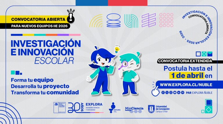 Convocatoria Asesores y Asesoras IIE 2026