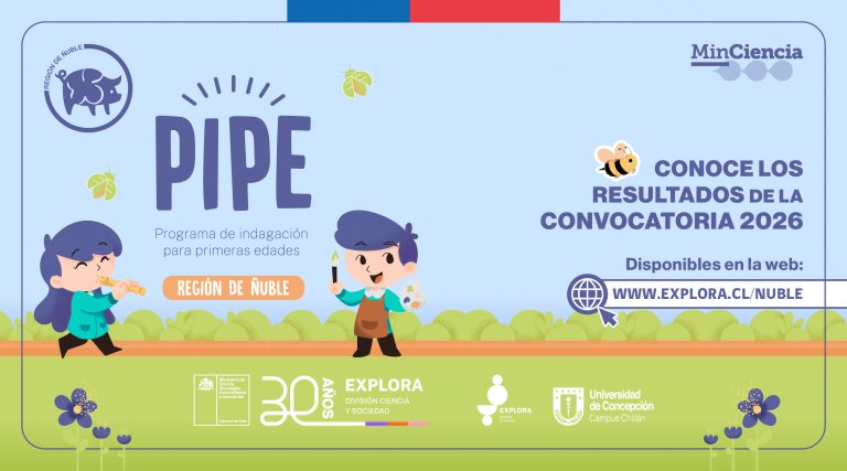 PIPE 2026: Listado de equipos seleccionados en Ñuble