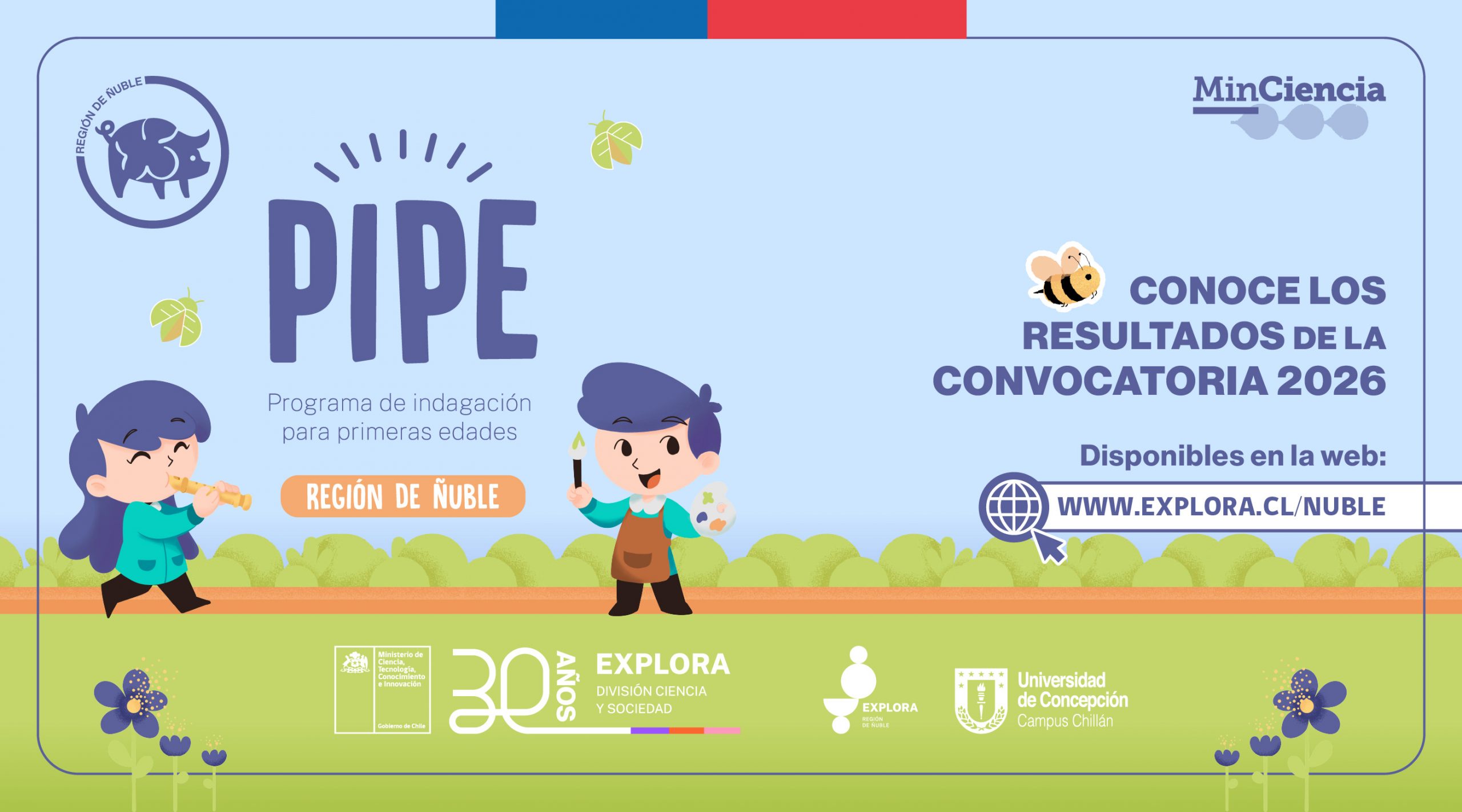 PIPE 2026: Listado de equipos seleccionados en Ñuble