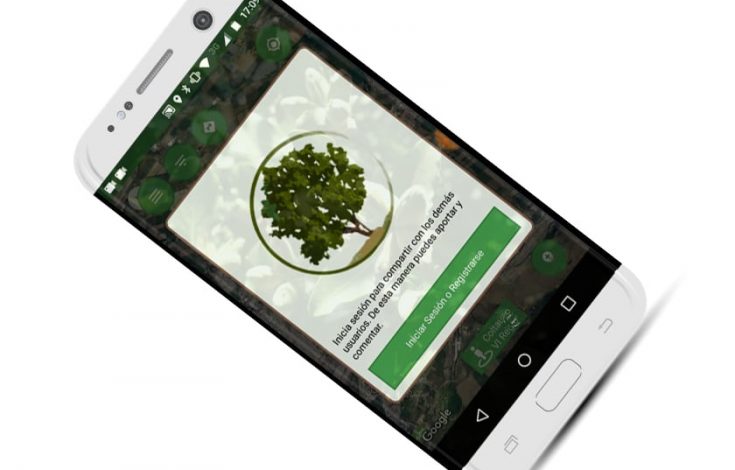 Details 95 app para identificar árboles chilenos