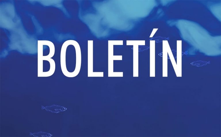 ¡Revisa la última edición de nuestro boletín!