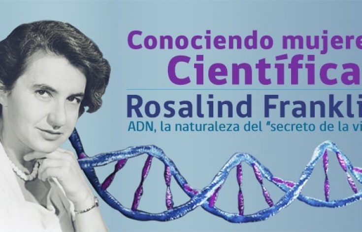 rosalind franklin
