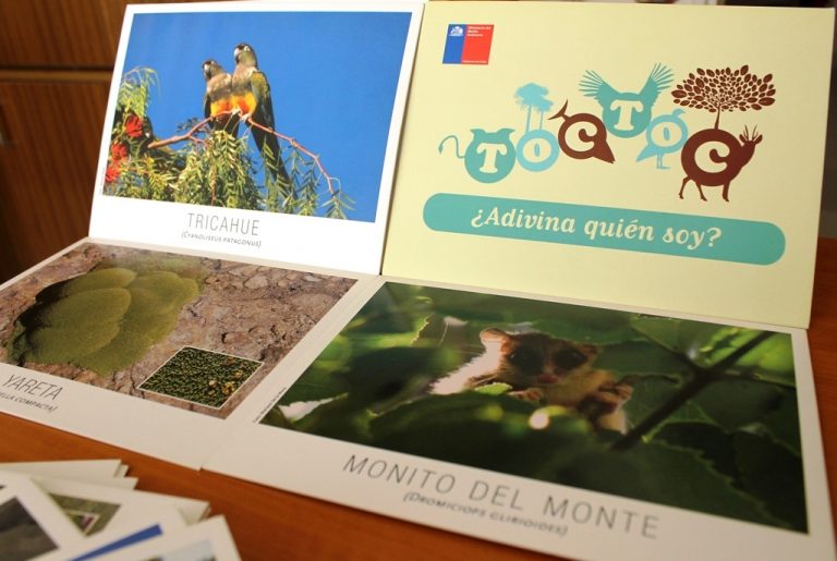 ¡Aprende jugando cuáles son las especies amenazadas de Chile!