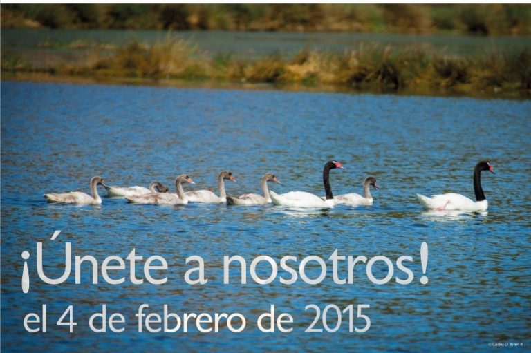 Celebrarán Día de los Humedales en la región